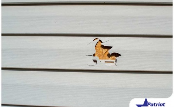 When to Repair or Replace Your Damaged Siding