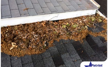 How Do Leaves Damage Your Roof and Gutters?